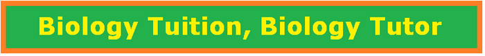 Biology Tuition, Biology Tutor in sg